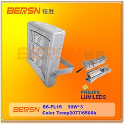 BERSN-FL15  LED 泛光灯